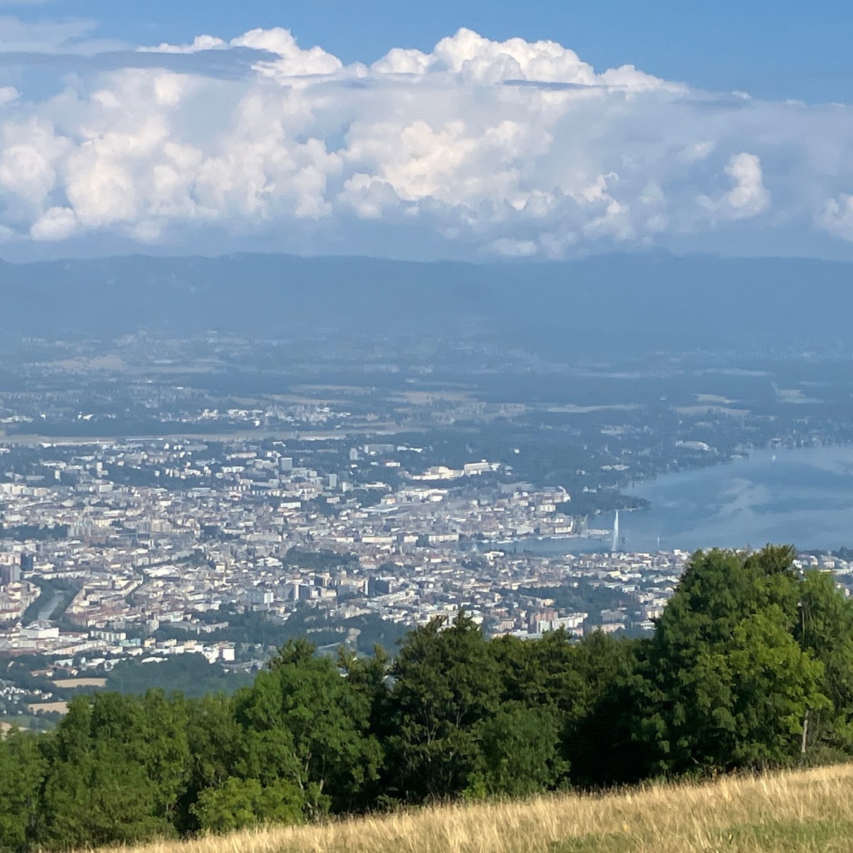 The Six Steps to Salvation Geneva tour, part&nbsp;2